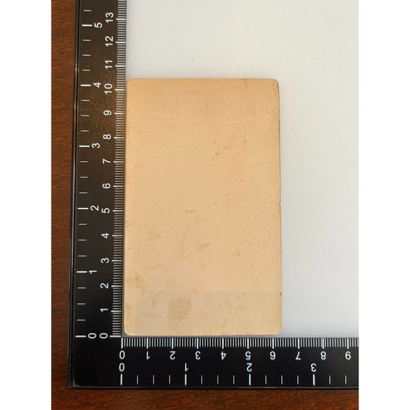 Antique CDV Carte de Visite Photography Sepia Lighty Bros Young Lady Buttons SEE - Picture 5 of 5